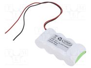 Re-battery: Ni-MH; C; 4.8V; 4000mAh; leads 250mm; Cells quantity: 4 