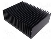 Heatsink: extruded; grilled; black; L: 250mm; W: 176mm; H: 98mm SEIFERT ELECTRONIC