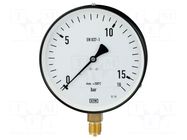 Manometer; 0÷1bar; Class: 1.6; 100mm; Temp: -25÷60°C; IP50; steel WIKA