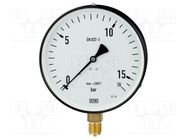 Manometer; 0÷25bar; Class: 1.6; 160mm; Temp: -25÷60°C; IP50; steel WIKA