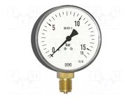 Manometer; -1÷24bar; Class: 1.6; 100mm; Temp: -40÷60°C; IP54; steel WIKA