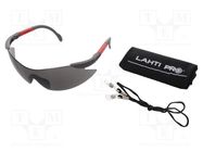 Safety spectacles; Lens: grey; Features: regulated; Kit: case LAHTI PRO