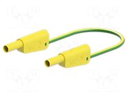Test lead; 19A; banana plug 4mm,both sides; Urated: 1kV; Len: 0.5m STÄUBLI