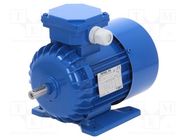 Motor: AC; 3-phase; 0.55kW; 230/400VAC; 2820rpm; IP54; -30÷60°C 