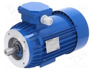 Motor: AC; 3-phase; 0.75kW; 230/400VAC; 1430rpm; IP54; -30÷60°C 