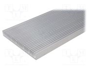 Heatsink: extruded; grilled; natural; L: 1000mm; W: 250mm; H: 30mm 