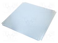 Mounting plate; microperforated 