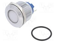 Indicator: LED; flat; white; 12VDC; 12VAC; Ø22mm; brass; Body: silver NINIGI