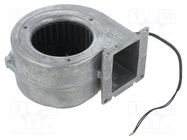 Fan: AC; blower; 115VAC; 117.5x116.5x80mm; ball; Len: 300mm EBM-PAPST