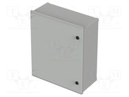 Enclosure: wall mounting; X: 500mm; Y: 500mm; Z: 230mm; Polysafe BOPLA