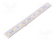 LED tape; white neutral; 5050; LED/m: 60; 10mm; white PCB; IP65 IPIXEL LED