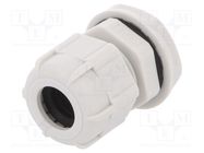 Cable gland; PG11; IP68; polyamide; light grey BM GROUP