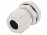 Cable gland; PG13,5; IP68; polyamide; light grey BM GROUP