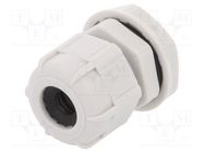 Cable gland; M20; 1.5; IP68; polyamide; grey BM GROUP