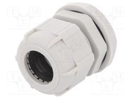 Cable gland; PG21; IP68; polyamide; light grey BM GROUP