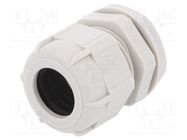 Cable gland; M25; 1.5; IP68; polyamide; grey BM GROUP