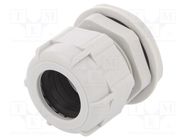 Cable gland; PG29; IP68; polyamide; light grey BM GROUP