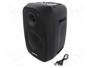 Speaker; black; DC,microSD,USB; Bluetooth 5.0; 2402÷2485MHz; 10m 