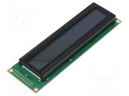 Display: LCD; alphanumeric; STN Positive; 24x2; grey; LED; PIN: 16 RAYSTAR OPTRONICS