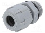 Cable gland; PG9; IP68; polyamide; dark grey BM GROUP