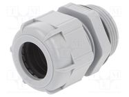 Cable gland; PG21; IP68; polyamide; dark grey BM GROUP