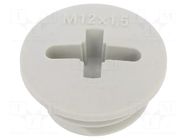 Stopper; M12; 1.5; IP56; polyamide; light grey; Thread: metric; 6mm BM GROUP