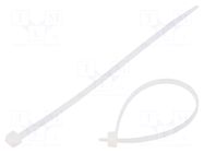 Cable tie; L: 140mm; W: 3.6mm; natural; polyamide; 80N; Ømax: 33mm BM GROUP