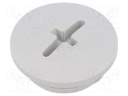 Stopper; M20; 1.5; IP56; polyamide; light grey; Thread: metric; 6mm 