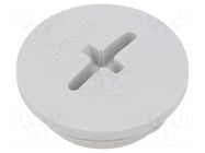 Stopper; M20; 1.5; IP56; polyamide; light grey; Thread: metric; 6mm BM GROUP