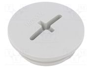 Stopper; M25; 1.5; IP56; polyamide; light grey; Thread: metric; 8mm 