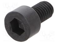 Screw; M5x8; 0.8; Head: cheese head; hex key; HEX 4mm; steel BOSSARD