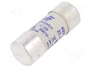 Fuse: fuse; 63A; 690VAC; 445VDC; gR; 22x58mm DF ELECTRIC
