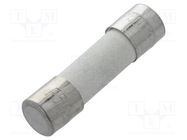 Fuse: fuse; quick blow; 500mA; 250VAC; ceramic; 5x20mm; brass; FCD OPTIFUSE