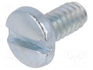 Screw; UNC4-40x6.25; Head: cheese head; slotted; steel; zinc KEYSTONE