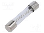 Fuse: fuse; time-lag; 15A; 32/250VAC; glass; 6.3x32mm; brass; TSA OPTIFUSE