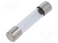 Fuse: fuse; time-lag; 1A; 250VAC; glass; 6.3x32mm; brass; TSA OPTIFUSE