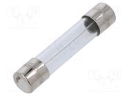 Fuse: fuse; time-lag; 250mA; 250VAC; glass; 6.3x32mm; brass; TSA OPTIFUSE