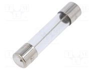 Fuse: fuse; time-lag; 500mA; 250VAC; glass; 6.3x32mm; brass; TSA OPTIFUSE