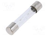 Fuse: fuse; time-lag; 5A; 250VAC; glass; 6.3x32mm; brass; TSA OPTIFUSE