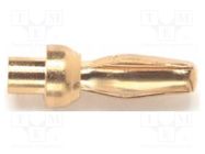 Connector: 2mm banana; plug; 5A; 2.5kVDC; gold-plated; 12.19mm POMONA