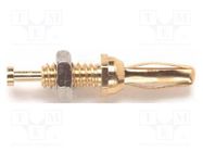 Connector: 2mm banana; plug; 5A; 2.5kVDC; gold-plated; 26.65mm POMONA