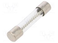 Fuse: fuse; time-lag; 20A; 32/250VAC; glass; 6.3x32mm; brass; TSA OPTIFUSE