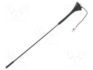 Antenna; car top; 0.4m; AM,FM; 0.15m; Rod inclination: constant CALEARO