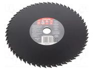 Cutting wheel; Ø: 230mm; with rasp; 22.2mm PROLINE