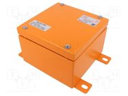 Enclosure: emergency; X: 150mm; Y: 150mm; Z: 100mm; steel; IP65 RAYCHEM RPG