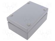 Enclosure: multipurpose; X: 100mm; Y: 150mm; Z: 61mm; steel; grey RAYCHEM RPG