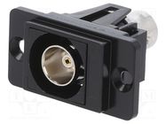 Coupler; BNC socket,both sides; 75Ω; black; Mat: metal; DUALSLIM CLIFF