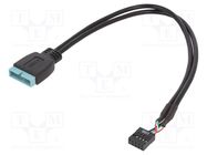 Cable: mains; USB 2.0 9pin,USB 3.0 19pin; 0.3m; Cablexpert GEMBIRD