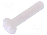 Screw; M3x16; 0.5; Head: countersunk; slotted; 1mm; polyamide; 8G202 DREMEC