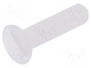 Screw; M3x12; 0.5; Head: oval,countersunk; slotted; 1mm; polyamide DREMEC
